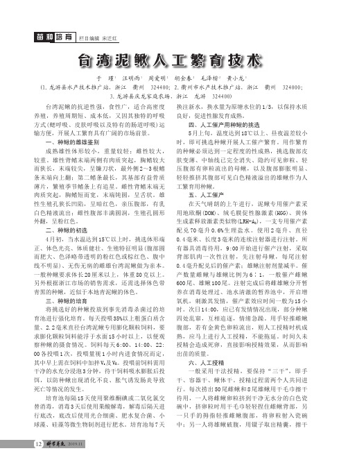 台湾泥鳅人工繁育技术