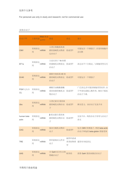 常见真核启动子及原核启动子特点