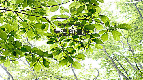 七年级地理上册4.2《气温和降水》