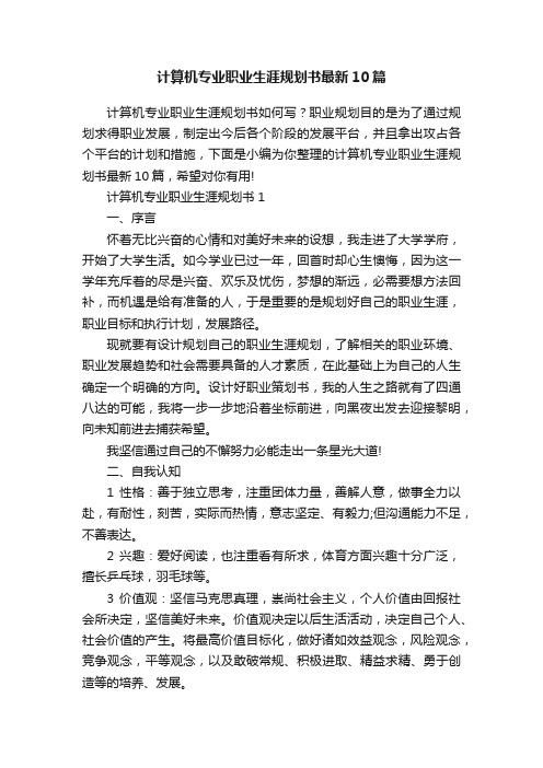 计算机专业职业生涯规划书最新10篇