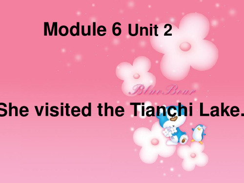 外研社(三起点)小学五年级下册英语课件Module 6 Unit2 She visited the Tianchi Lake