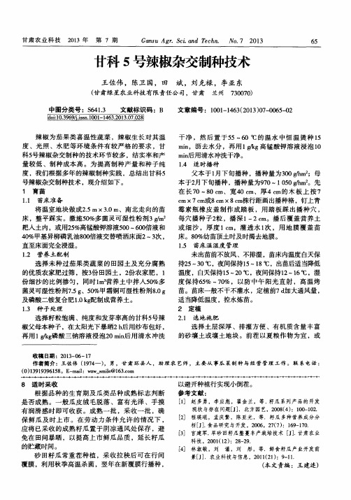 甘科5号辣椒杂交制种技术