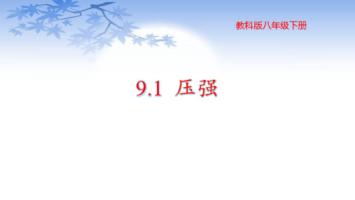 9.1 压强—教科版八年级物理下册课件(共24张PPT)