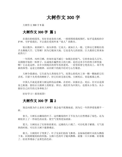 大树作文300字