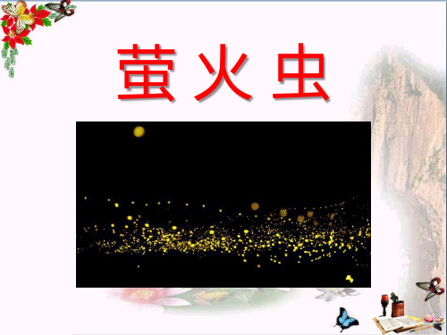 《萤火虫》PPT课件