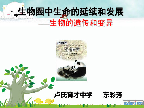 生物圈中生命的延续和发展PPT课件 人教版
