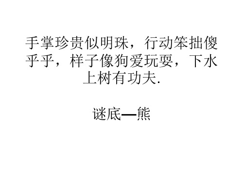 熊ppt