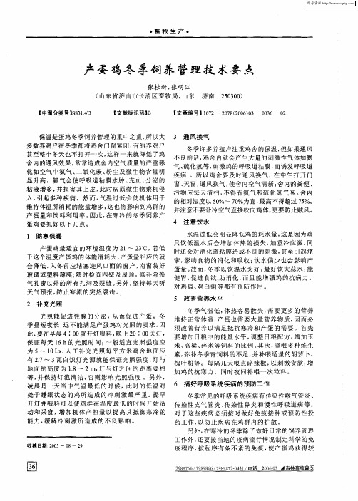 产蛋鸡冬季饲养管理技术要点