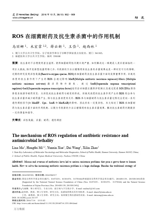 ROS在细菌耐药及抗生素杀菌中的作用机制