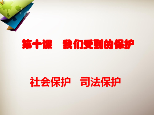 社会保护,司法保护