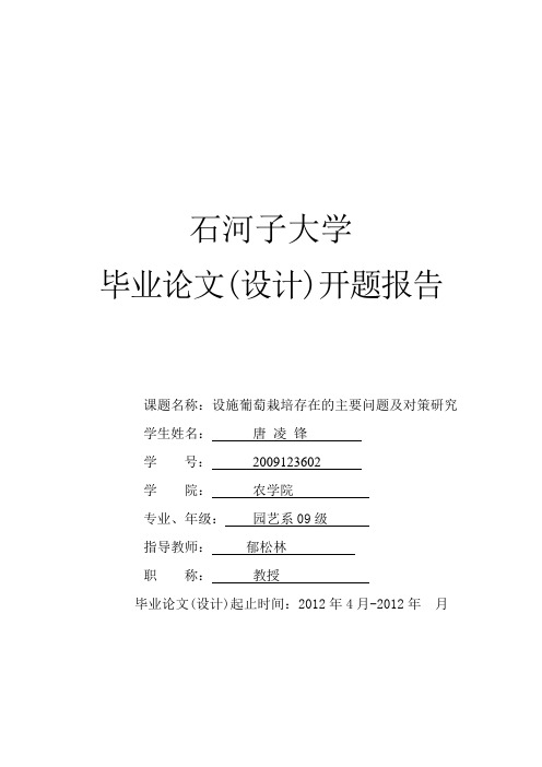 我的开题报告
