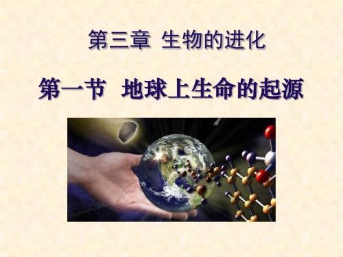 浙教版 生物的进化 PPT课件(上课用)4