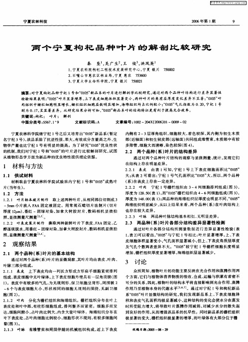 两个宁夏枸杞品种叶片的解剖比较研究