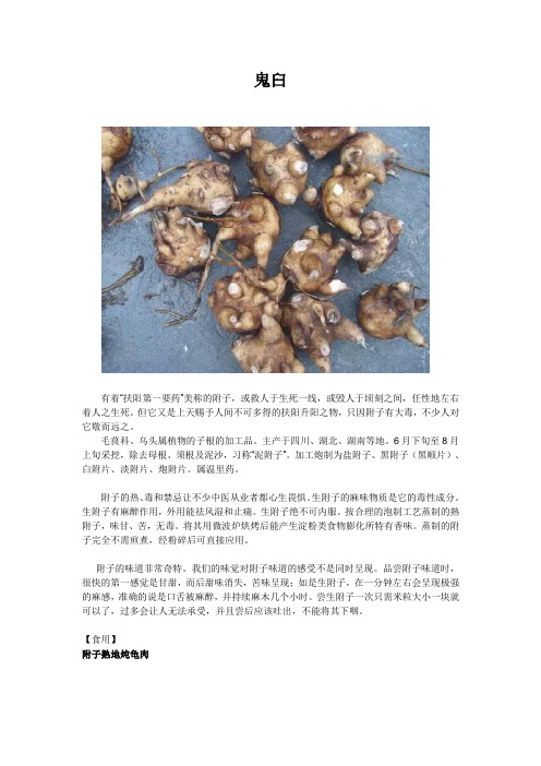 鬼臼