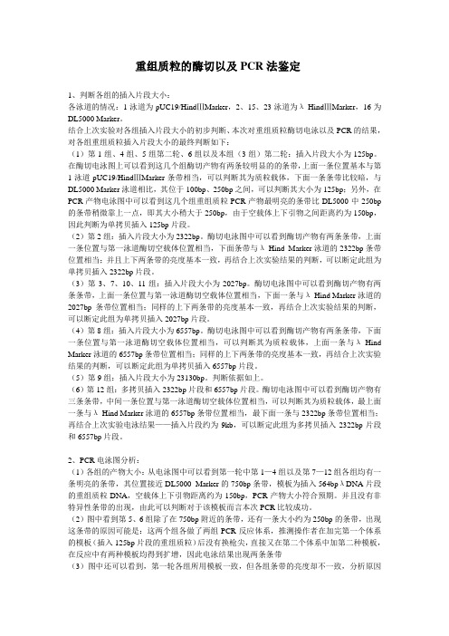 山大分子生物学 生物基地实验报告三