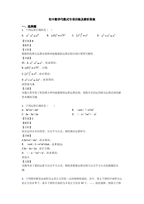 初中数学代数式专项训练及解析答案