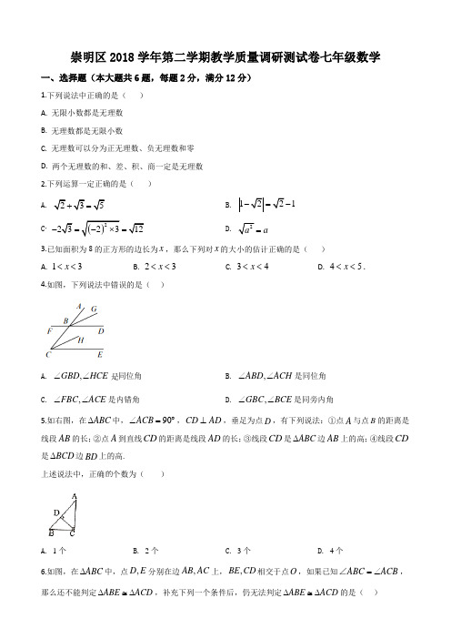 上海市崇明区2018-2019学年七年级下学期期末数学试题(解析版)