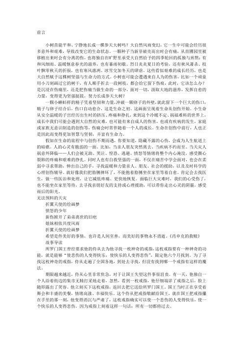 雨后花朵更艳丽