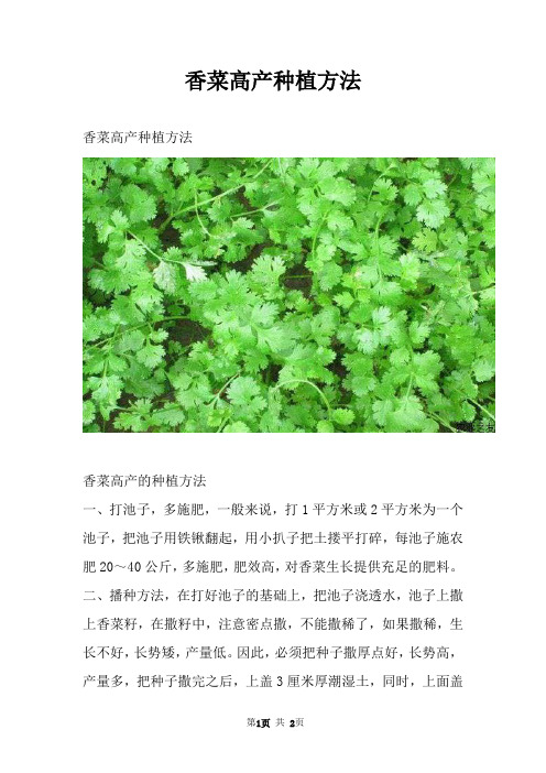 香菜高产种植方法
