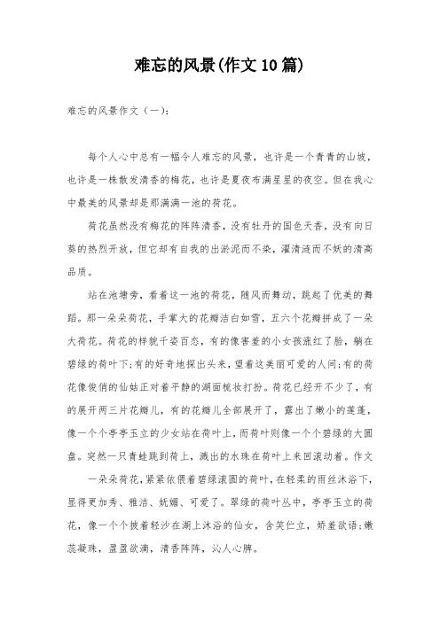 难忘的风景(作文10篇)