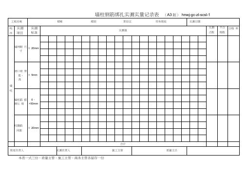 实测实量记录表格式