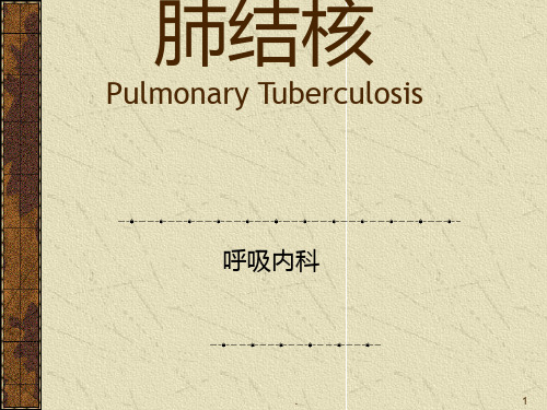 肺结核内科PPT课件
