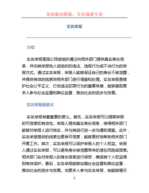 实名举报文档