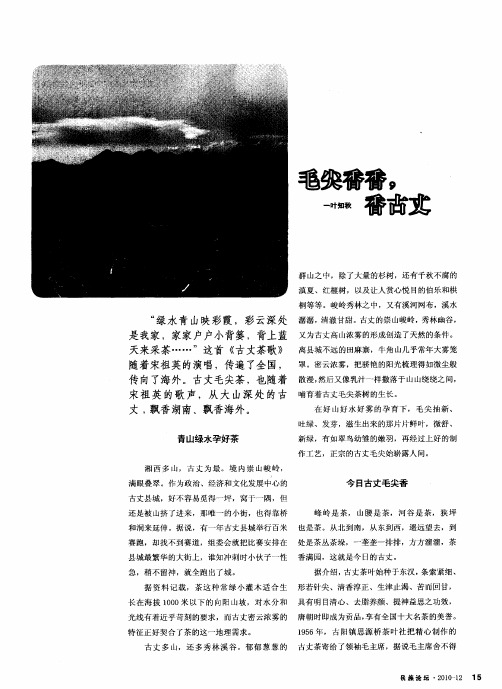 毛尖香香,香古丈