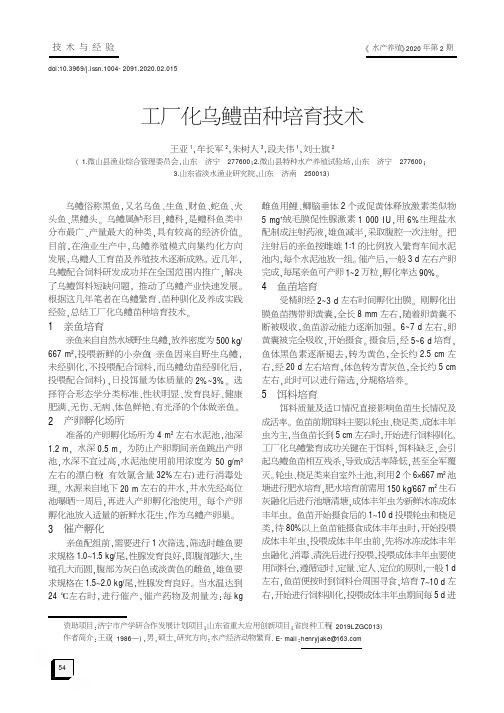 工厂化乌鳢苗种培育技术