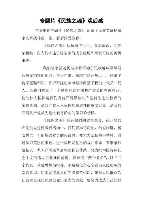 专题片《民族之魂》观后感