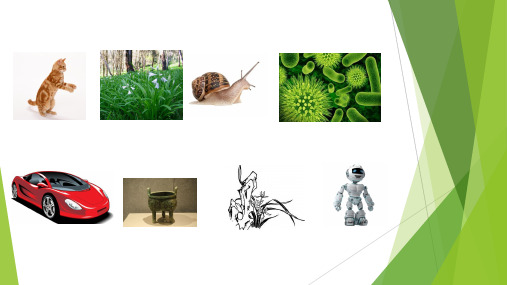 浙教版科学七年级上册 2.1《生物与非生物》(共21张PPT)