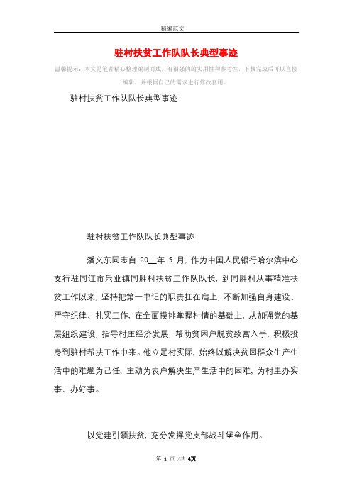 驻村扶贫工作队队长典型事迹_精选