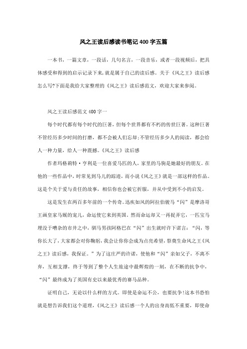 风之王读后感读书笔记400字五篇