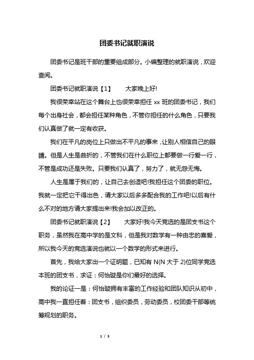 团委书记就职演说