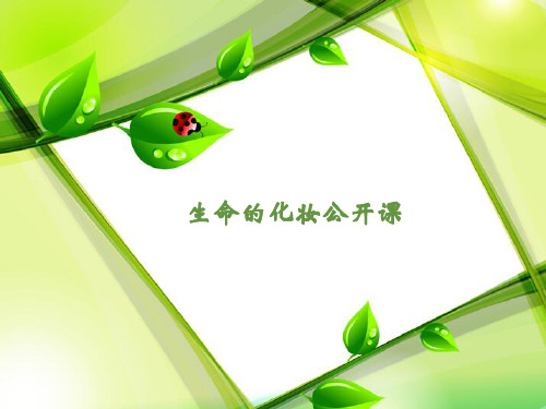 生命的化妆公开课PPT课件