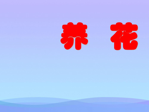小学六年级下学期语文《养花》PPT课件课件PPT