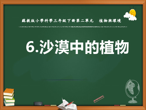 苏教版三年级科学课件-沙漠里的植物4