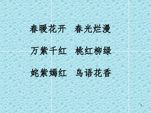 《游园不值》精选精华版PPT课件