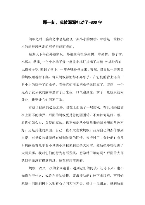 那一刻,我被深深打动了-800字初二作文叙事
