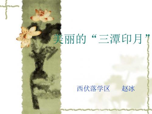 美丽的三潭印月