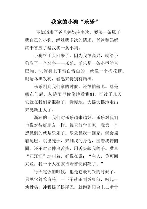 我家的小狗“乐乐”