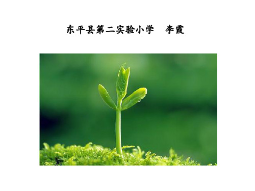 18生命生命
