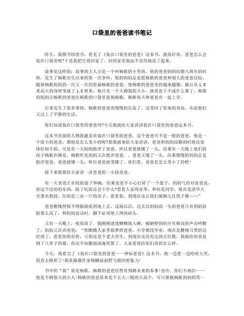 口袋里的爸爸读书笔记