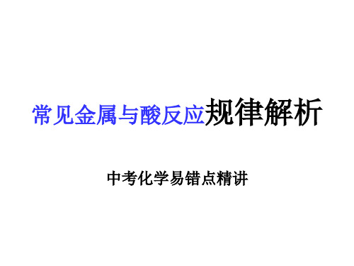 常见金属与酸反应规律解析