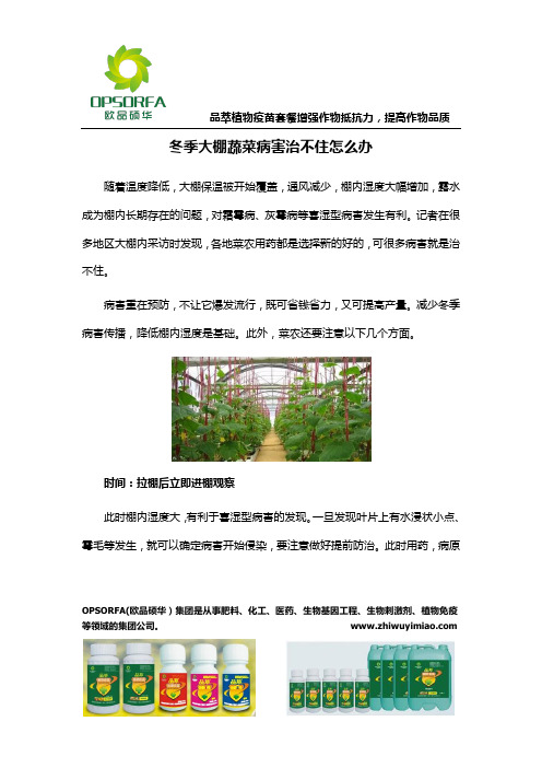 冬季大棚蔬菜病害治不住怎么办