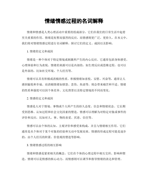情绪情感过程的名词解释