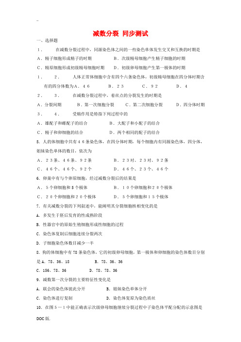 高中生物：减数分裂 同步测试 新人教版必修2