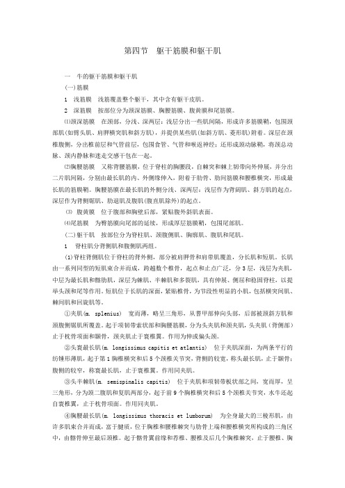 最新整理、吉林家畜解剖学(主编雷治海等)教案：第三章肌学02(农林类)畜牧兽医)
