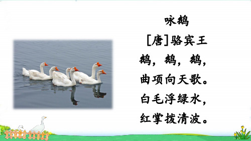 部编版四年级下册第四单元15 白鹅(丰子恺散文)