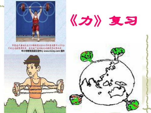 新人教版八年级物理下第七章《力》复习PPT
